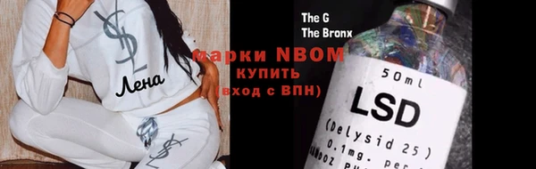 шишки Кукмор