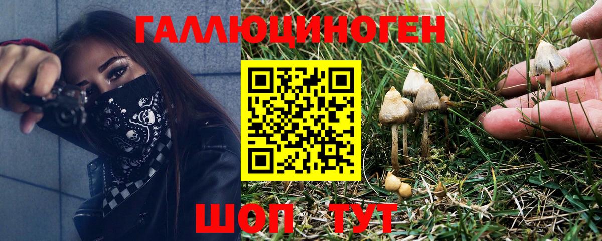 Псилоцибиновые грибы Magic Shrooms Уфа