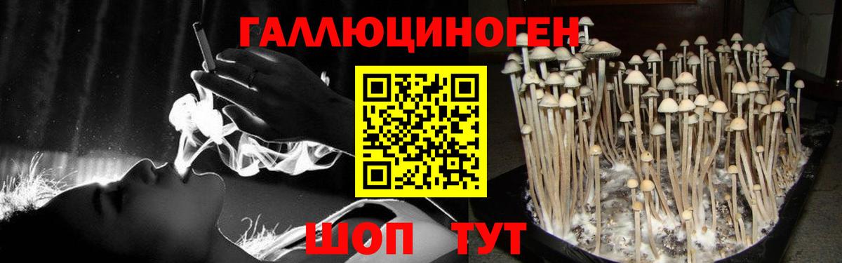 Псилоцибиновые грибы мухоморы  Вход с VPN  продажа наркотиков  Уфа 
